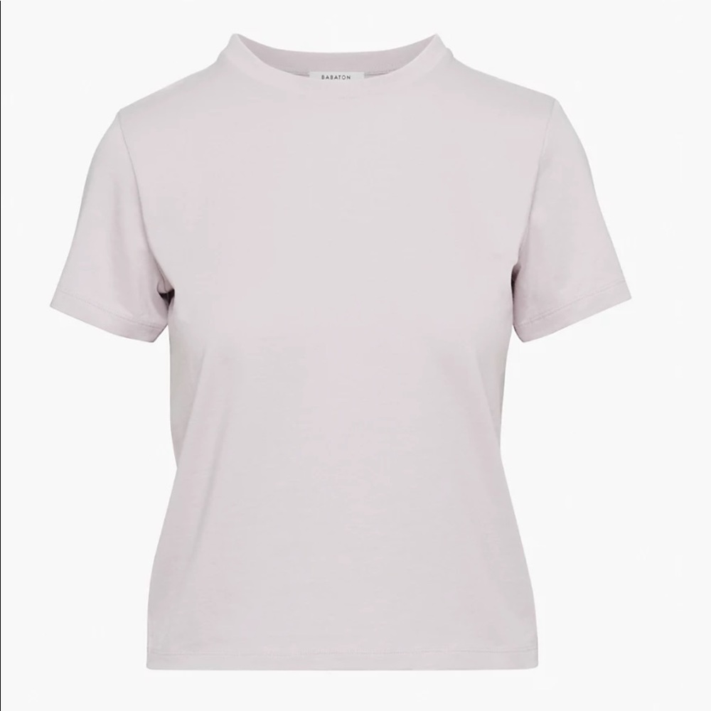 Aritzia Babaton Dillon T-shirt